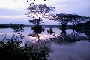 Laguna