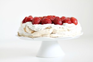 pavlova6