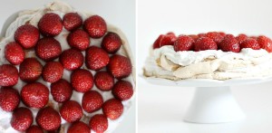 pavlova_kolaz1