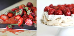 pavlova_kolaz2